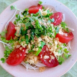 ☆夏にピッタリ♪　サラダうどん☆